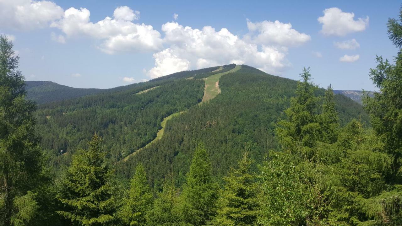 Apartman Medvedin 306 Spindleruv Mlyn Exterior photo
